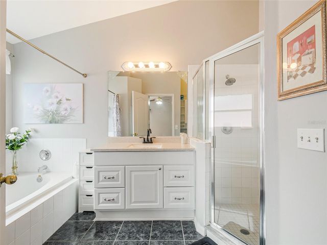 3013 CATHERINE WHEEL COURT, Orlando, FL 32822