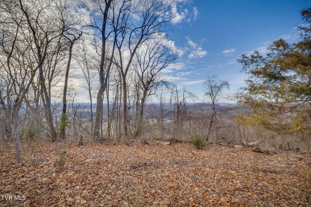 309 Holston Mountain Road, Elizabethton, TN 37643