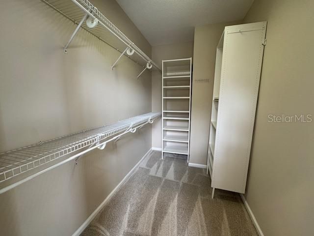 916 GREENLAWN STREET, Celebration, FL 34747