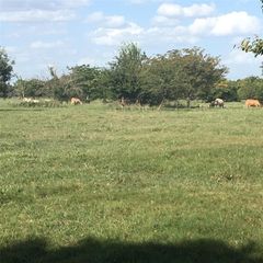 0000 House Road, Brookshire, TX 77423