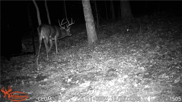 TBD Madison 2707, Kingston, AR 72742