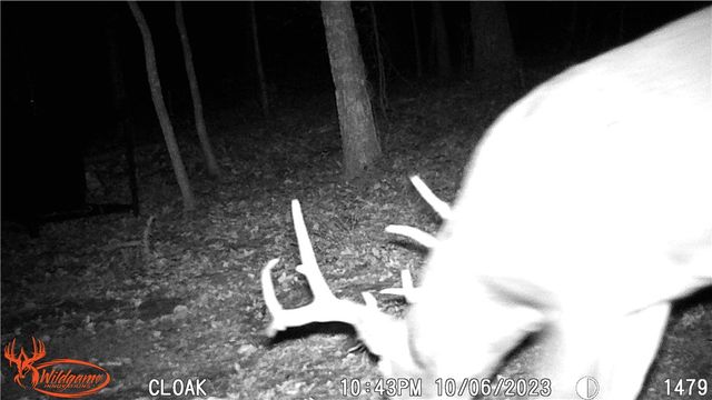 TBD Madison 2707, Kingston, AR 72742