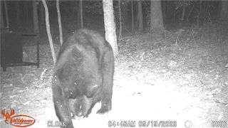 TBD Madison 2707, Kingston, AR 72742