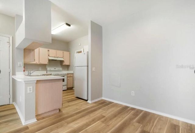 13015 SANCTUARY COVE DR 204, Temple Terrace, FL 33637