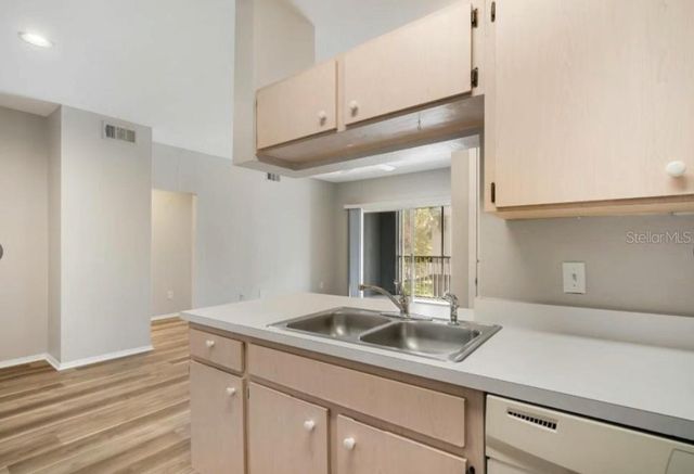 13015 SANCTUARY COVE DR 204, Temple Terrace, FL 33637