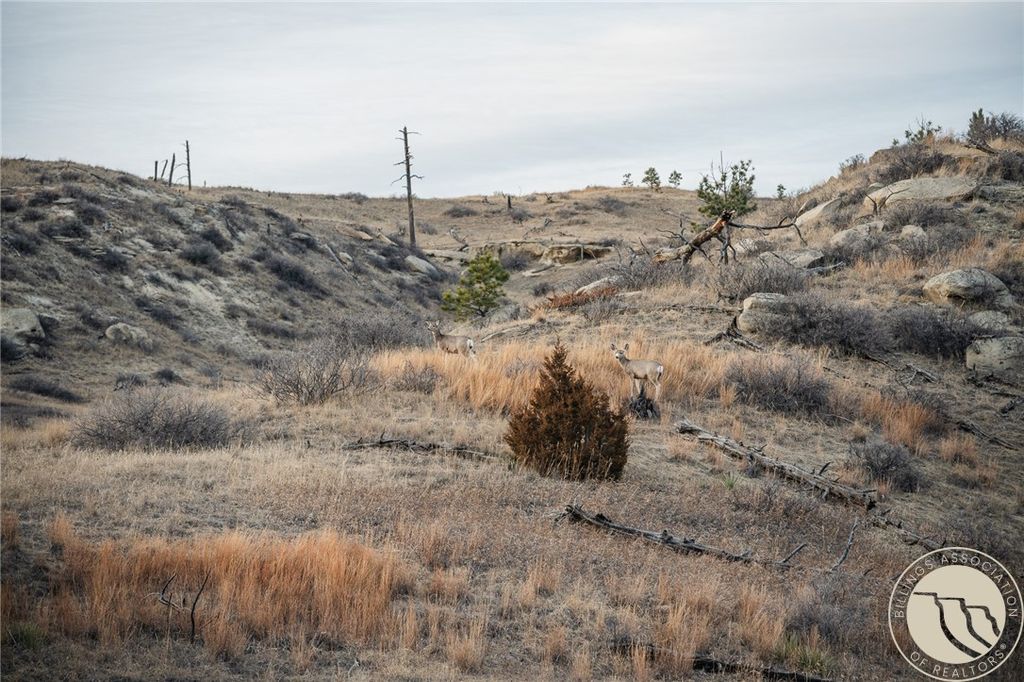 70 Rocky Top Road, Roundup, MT 59072 photo 3
