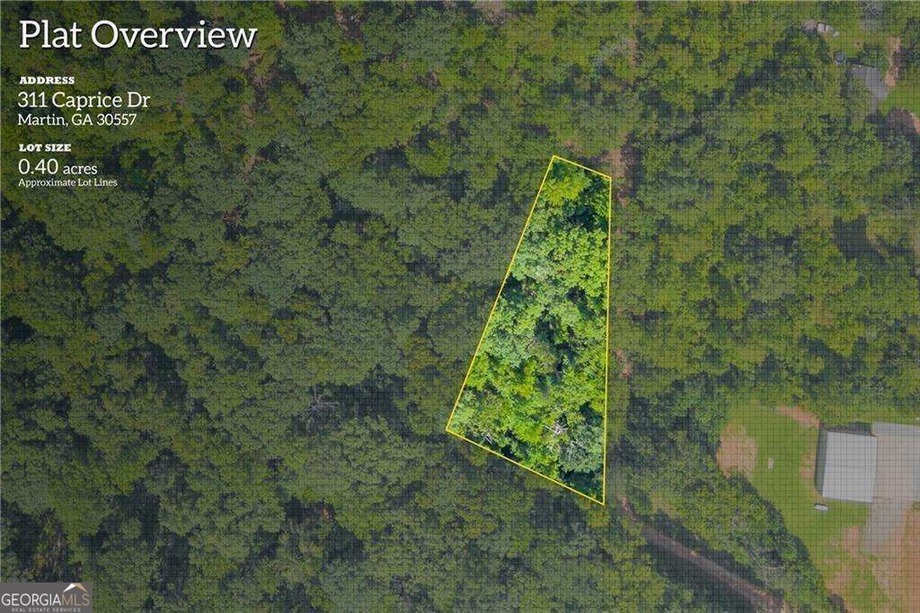 311 Caprice Drive, Martin, GA 30557 — exterior