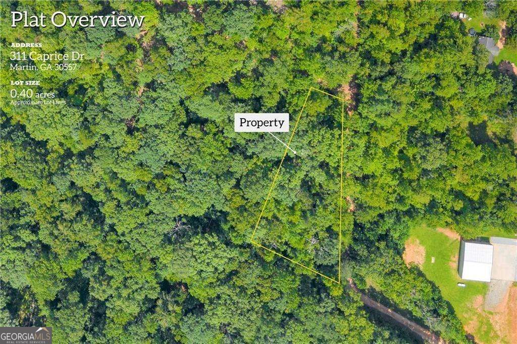 311 Caprice Drive, Martin, GA 30557 — photo 2