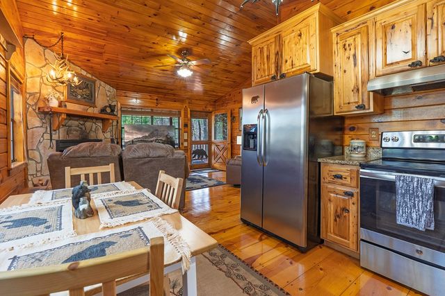 216 Pig Trail, Cherry Log, GA 30522