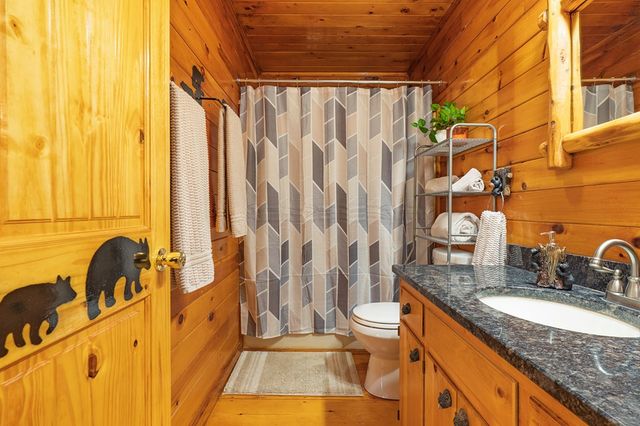 216 Pig Trail, Cherry Log, GA 30522