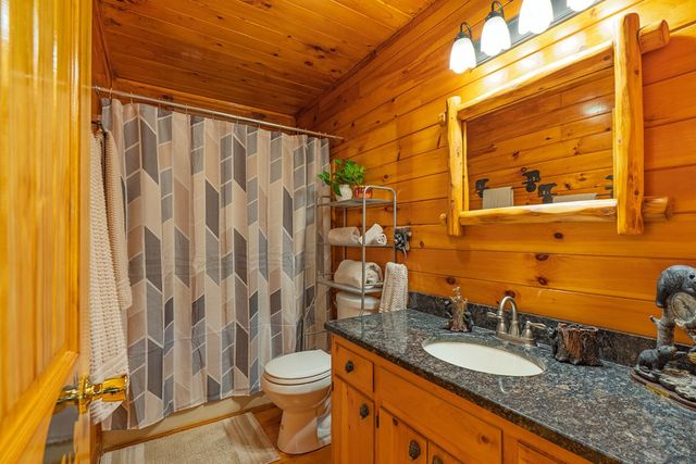 216 Pig Trail, Cherry Log, GA 30522