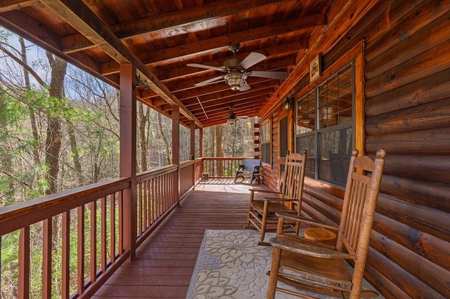216 Pig Trail, Cherry Log, GA 30522