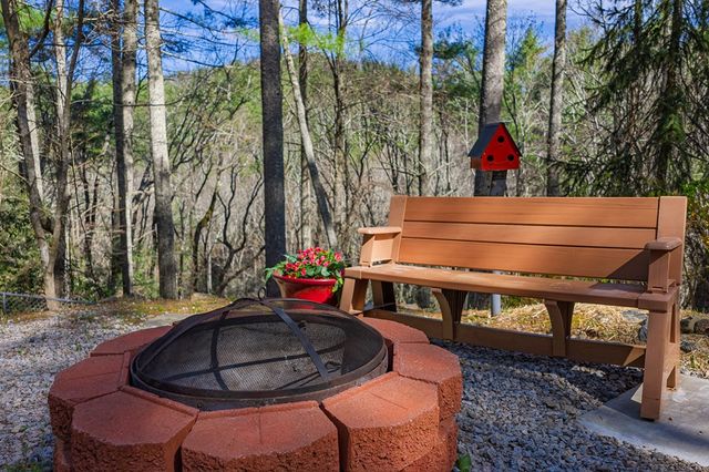 216 Pig Trail, Cherry Log, GA 30522