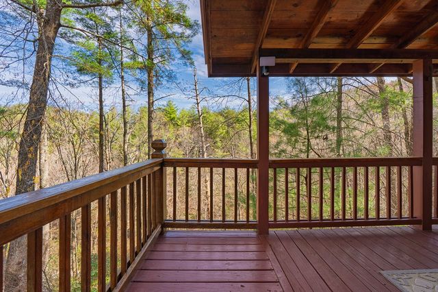 216 Pig Trail, Cherry Log, GA 30522