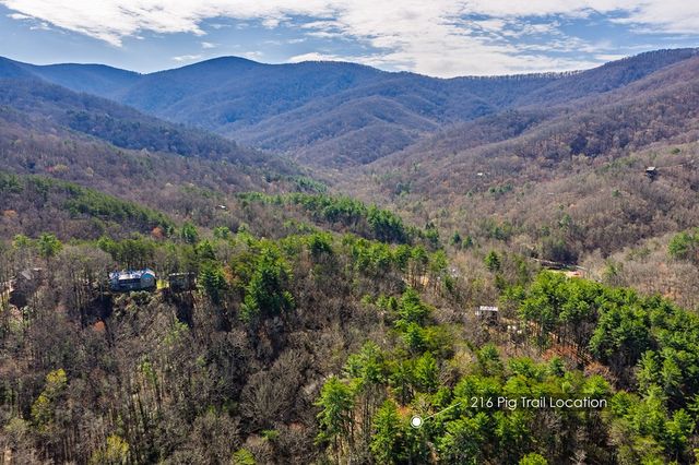 216 Pig Trail, Cherry Log, GA 30522