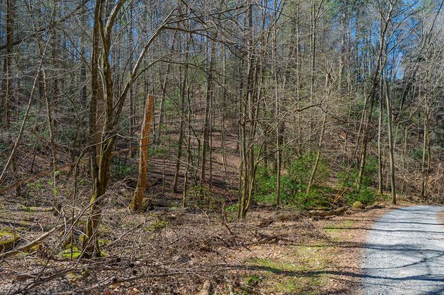 216 Pig Trail, Cherry Log, GA 30522