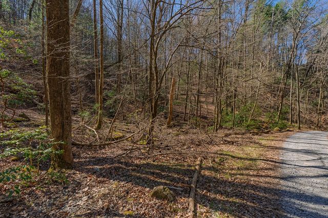 216 Pig Trail, Cherry Log, GA 30522