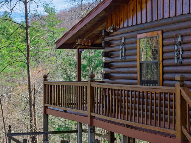 216 Pig Trail, Cherry Log, GA 30522