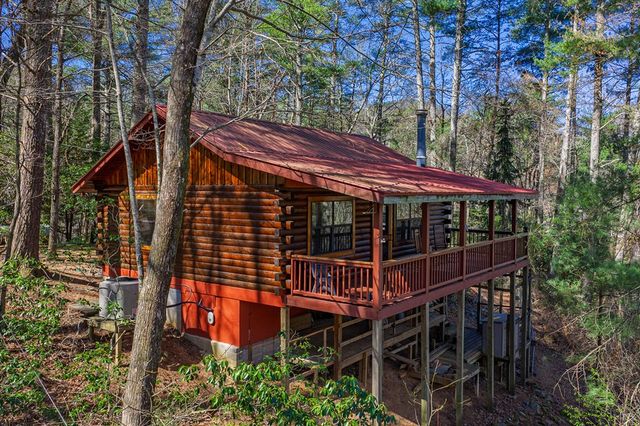 216 Pig Trail, Cherry Log, GA 30522