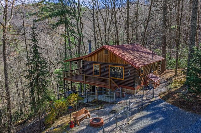 216 Pig Trail, Cherry Log, GA 30522