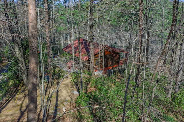 216 Pig Trail, Cherry Log, GA 30522