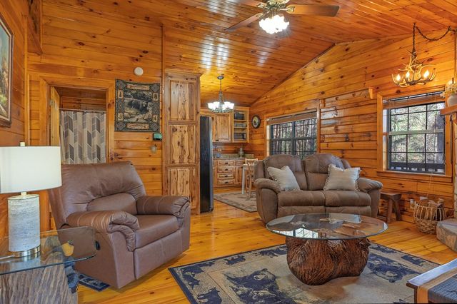 216 Pig Trail, Cherry Log, GA 30522