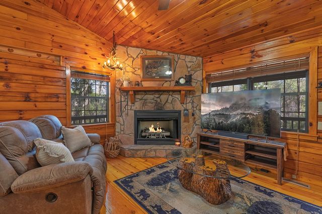 216 Pig Trail, Cherry Log, GA 30522