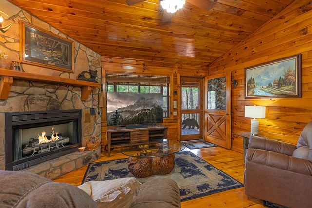 216 Pig Trail, Cherry Log, GA 30522