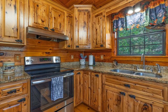 216 Pig Trail, Cherry Log, GA 30522