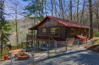 216 Pig Trail, Cherry Log, GA 30522