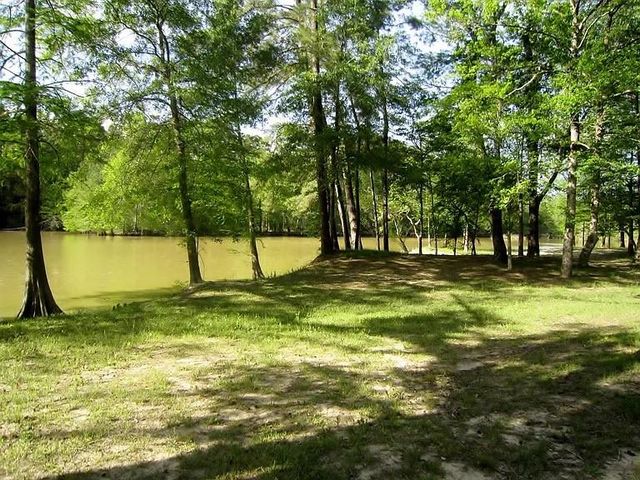 28710 Misty Oaks Drive, Huffman, TX 77336