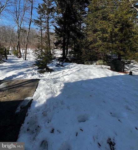 9491 JUNIPER DR, Tobyhanna, PA 18466