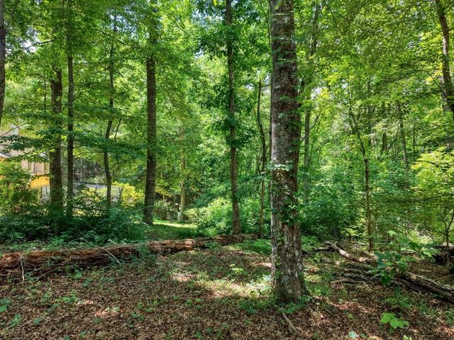 14 B Breezewood Village, Young Harris, GA 30582