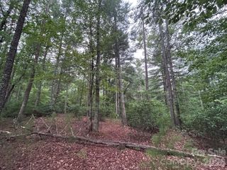 59 Captains Drive 224, Nebo, NC 28761