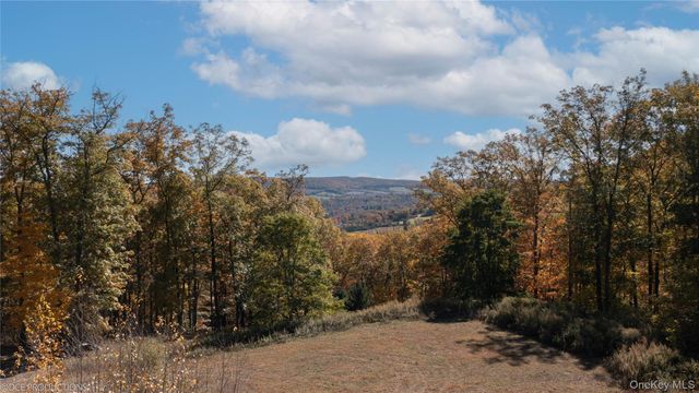"Cascade House" Cascade Mountain Road, Amenia, NY 12501