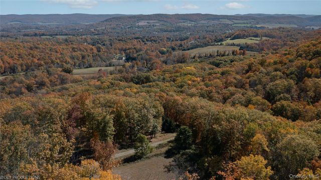 "Cascade House" Cascade Mountain Road, Amenia, NY 12501