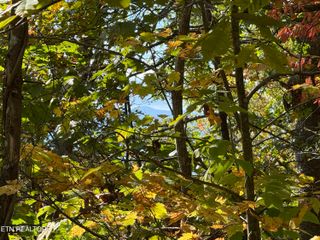 Old Mtn Rd, Sevierville, TN 37876