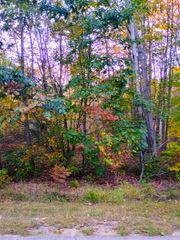 XX Riversterrace Road, Gladwin, MI 48624