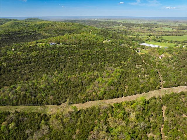 401 CR 246 Street, Berryville, AR 72632