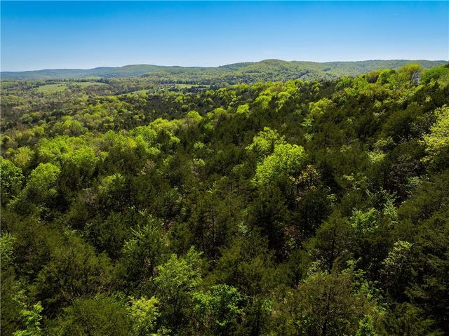 401 CR 246 Street, Berryville, AR 72632