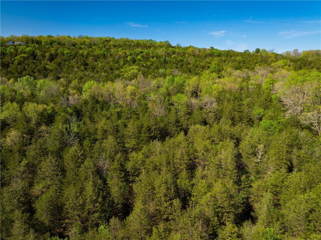 401 CR 246 Street, Berryville, AR 72632