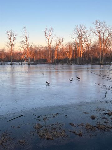 1431 Pintail Circle, Owosso, MI 48867