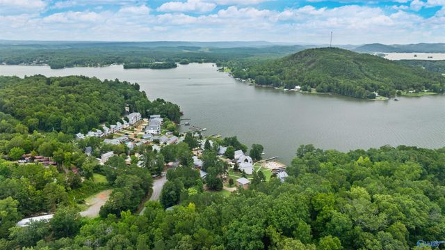 62 County Road 596, Leesburg, AL 35983