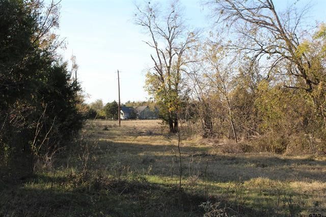 TBD 3415, Wills Point, TX 75169