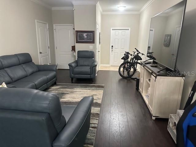 1438 MALLORY SAIL PLACE, Brandon, FL 33511