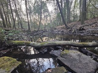 100 Clendenon Rd, Spencer, TN 38585