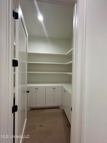 224 Welchshire Drive, Madison, MS 39110