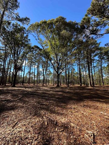 TBD Highway 707, Myrtle Beach, SC 29588