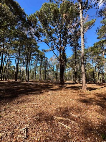 TBD Highway 707, Myrtle Beach, SC 29588