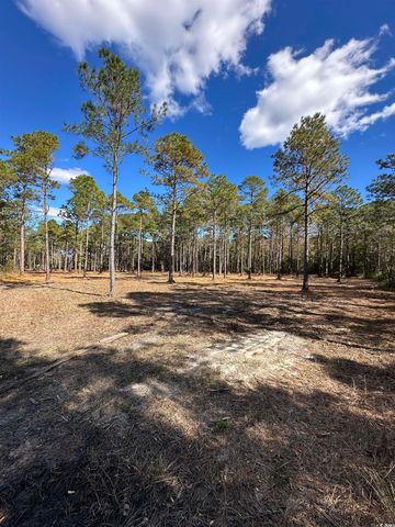 TBD Highway 707, Myrtle Beach, SC 29588